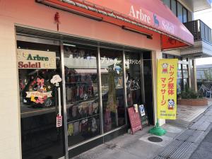 Arbre Soleil(アルブル ソレイユ)