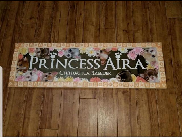 Princess   AIRA