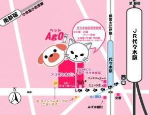 アゴはネコ ネコ専門店・代々木駅徒歩1分ペットショップ