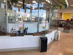 ペットパーク鴻巣店