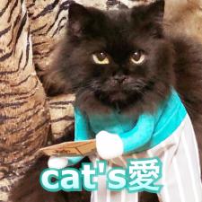 Cat's愛