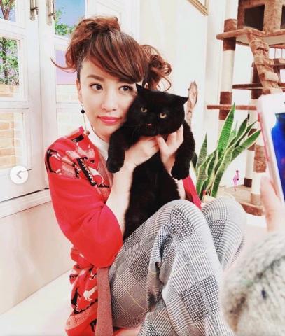 祝 女優 鈴木砂羽さん公式インスタグラムに出演 タレント猫専門店 ねこランド春日部西口店 子犬や子猫たちのペット販売情報が満載 ペットステーション
