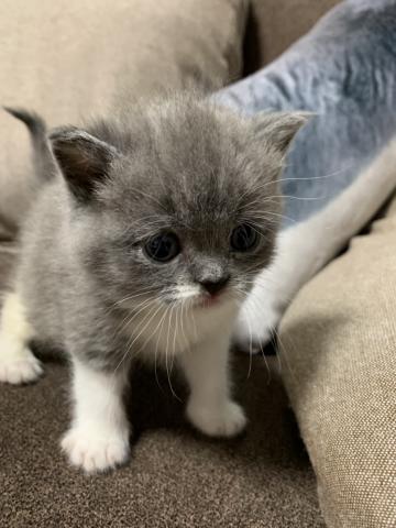 可愛いハーフちゃん🥰