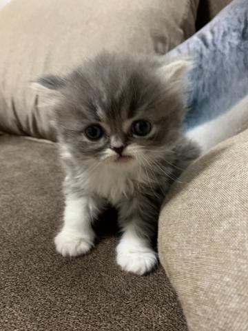 可愛いハーフちゃん😍