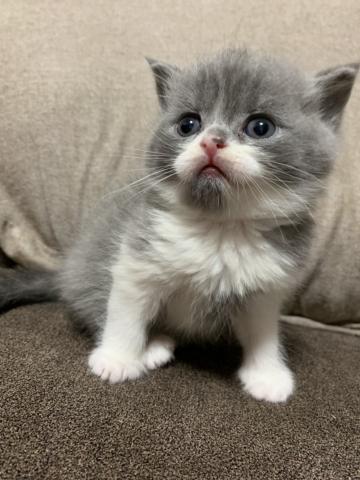 可愛いハーフちゃん😻