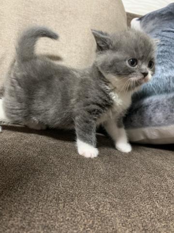 可愛いハーフちゃん🥳