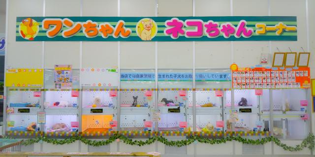 ディスワン大間々店