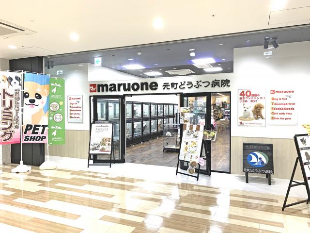 maruone横浜元町店