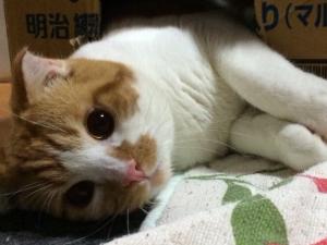 エンジェルパーク