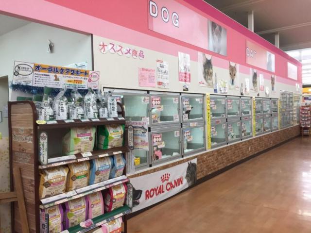 ペットプラザ岸和田ベイサイド店