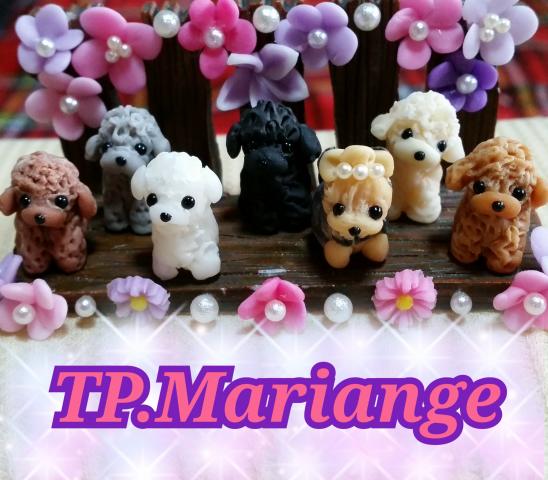 TP.Mariange