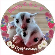 Berry.モモンガ