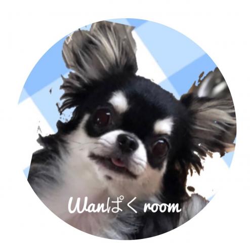 WANぱくROOM