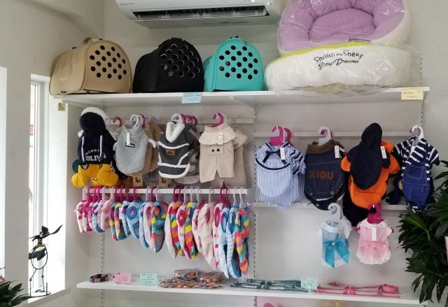 Dog Shop MOMO LAND