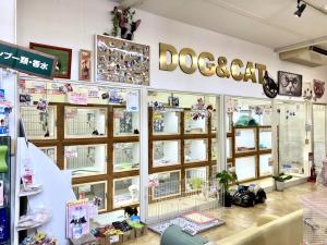 ペットショップ ウメダ 福山市 新涯店【公式】