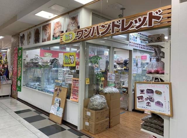 かねだい　わん100三郷店