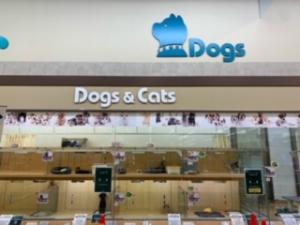 ペッツワン富津店