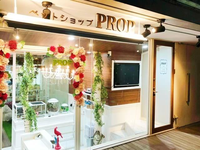 ペットショップPROP
