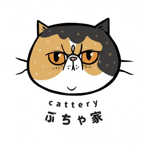 CATTERY ぶちゃ家