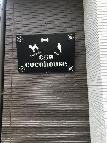 cocohouse