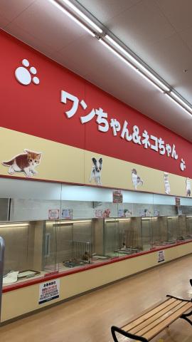 ペットセンター　箕面彩都店