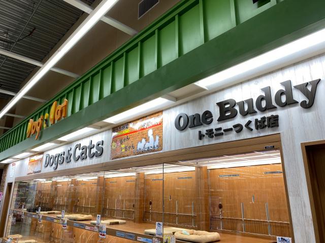 One Buddy　トモニーつくば店