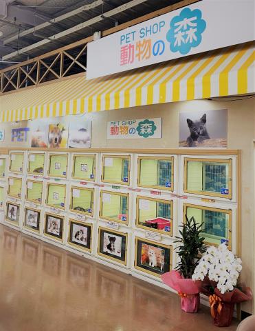 動物の森天理店