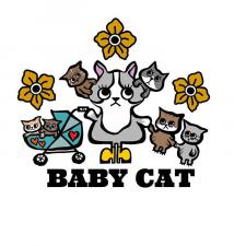 BABY CAT