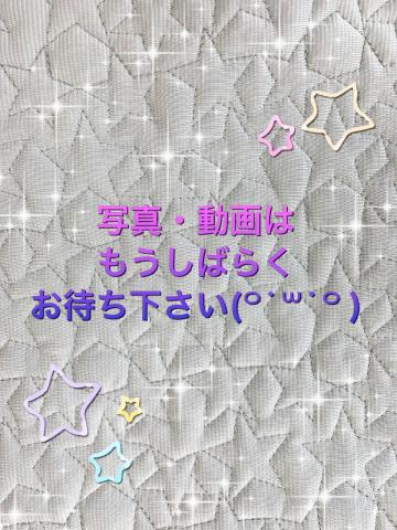 トイプードル