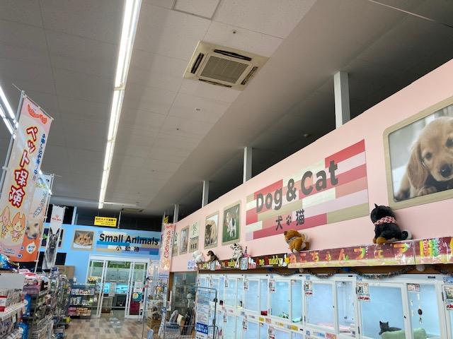 OneBuddy新船橋店