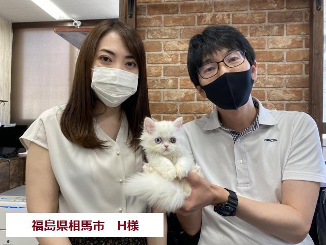 MIX（雑種）💕左右の目の色が違うオッドアイ💕