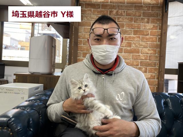 ラガマフィン