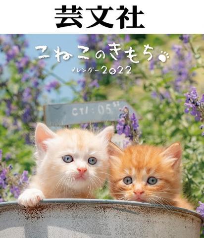 タレント猫専門店 ねこランド春日部西口店 埼玉県 子犬や子猫たちのペット販売情報が満載 ペットステーション