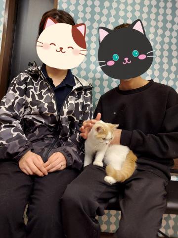 ミヌエット（旧ナポレオン）