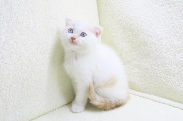 Zhcdggakycbi7m Zhcdggakycbi7m