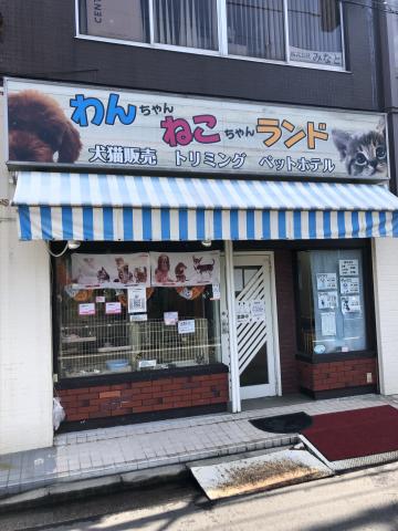 わんちゃんねこちゃんランド　横浜矢向店