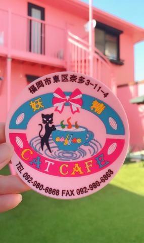 妖精Cat