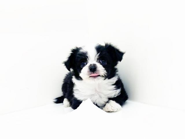 MIX