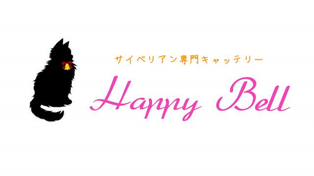 サイベリアン専門キャッテリー　Happy Bell