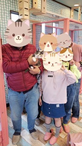 ミヌエット（旧ナポレオン）