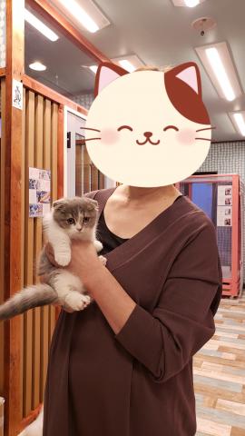 ミヌエット（旧ナポレオン）