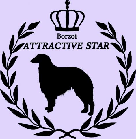 ATTRACTIVESTAR