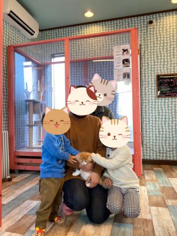 スコティッシュフォールド