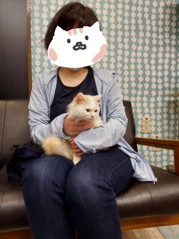 ミヌエット(旧ナポレオン)