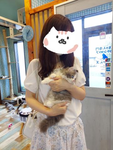 ミヌエット（旧ナポレオン）