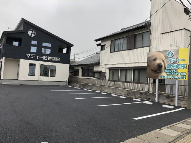 埼玉県上尾市 マディーペット 本店