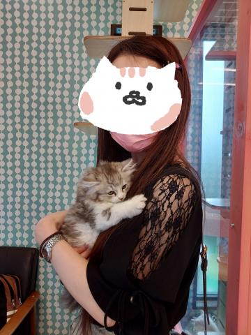 ミヌエット(旧ナポレオン)