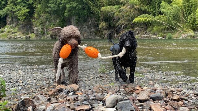 WATER BOY&GIRL