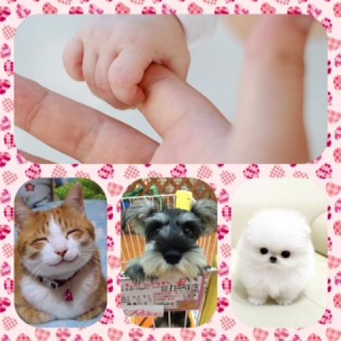 ◎CAT&DOG◎★BUNCHO★