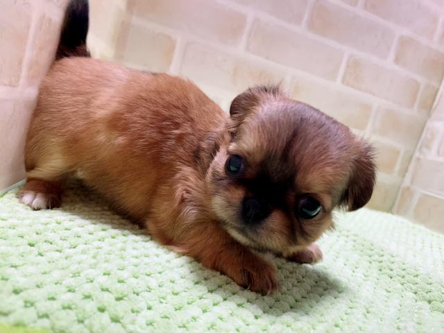 MIXママさんラストベビー✧‧˚